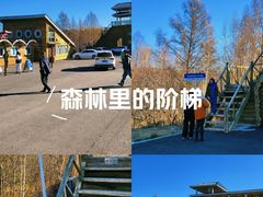 -莫尔道嘎国家森林公园