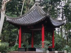 -深圳国际园林花卉博览园