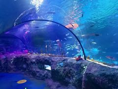 -沈阳海洋探索中心