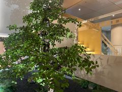-畅想汤泉生活(民治店)
