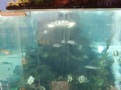 -鸿通城购物中心