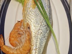 -渔家风味·鲅鱼水饺·央视展播·海鲜天津菜(开发区店)