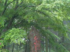 -庐山风景区花径公园