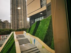 -上海交通大学医学院附属上海儿童医学中心(陆家嘴总院区)