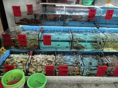 -洲晓鲜·舟山海鲜大排档(朱家尖风景区店)