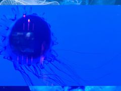 -多彩贵州城极地海洋世界