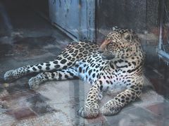 -西安秦岭野生动物园