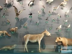 -中国湿地博物馆