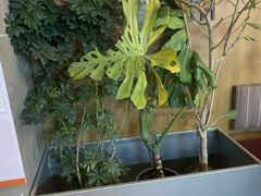 -Wagas沃歌斯(正大乐城店)