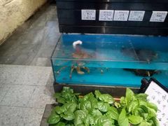-中苑海韵