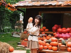 -HERRE·FARM 赫尔露营农场·团建聚会包场