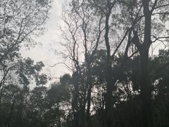 -渣滓洞