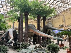 -国家自然博物馆