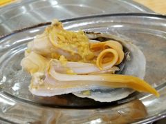 象拔蚌-蚝专家(北滘店)