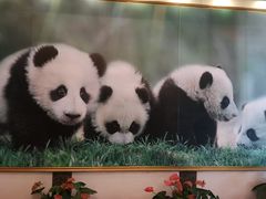 -成都驻京办餐厅(蜀都宾馆店)