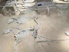 -洛阳周王城天子驾六博物馆