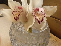 -上海和平饭店龙凤厅 Dragon Phoenix