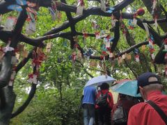 -天目湖山水园