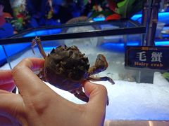 -加餐海鲜自助(宝龙一城店)