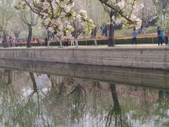 -海棠花溪(元大都城垣遗址公园)
