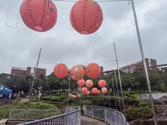 -云南大学滇池学院