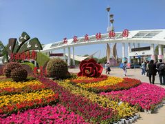 -石家庄市植物园