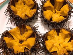 -海胆小馆(东北水饺·春柳店)