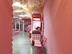 -pink baby·新晋网红打卡地