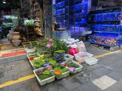 -青石桥花鸟鱼虫市场(叠翠城店)