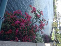 South Bank Parklands-布里斯班南岸公园