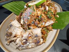 -Ameigo梅果·云贵川bistro(长宁来福士店)