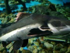 -多彩贵州城极地海洋世界