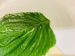 -辛氏火炉·韩式古法烤肉(松北店)