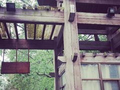 景点-溱湖国家湿地公园