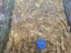 -大锅强·蒸海鲜青岛菜(吾悦广场店)