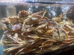 -紫阳海鲜楼·传承闽味(长乐路总店)