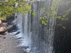 -汤旺河林海奇石景区