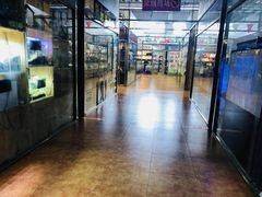 -大自然花鸟鱼虫市场