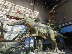 -国家自然博物馆