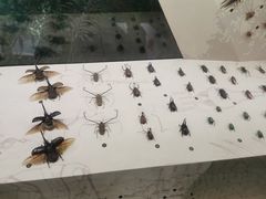 -长江文明馆