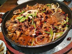-老板恋上鱼(振华商厦店)