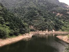 -都江堰石锅鱼