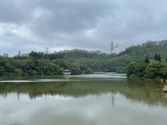 -深圳仙湖植物园