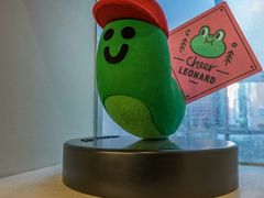 -line friends(明洞旗舰店)