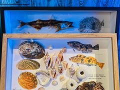 -沈阳海洋探索中心