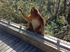 -哈尔滨北方森林动物园