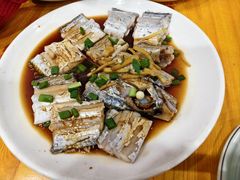 清蒸东海大带鱼-红灯笼龙凤饭店(宁波老字号店)