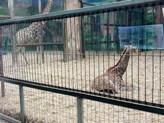 -鄂尔多斯野生动物园