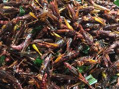 -席娜卡琳火车铁道夜市