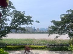 -江心屿景区